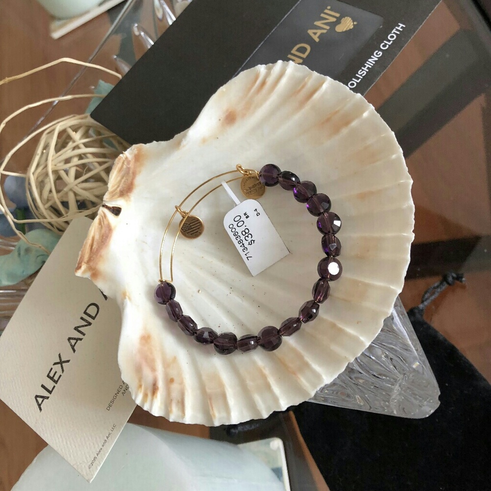 Alex and Ani Purple Crystal Bangle